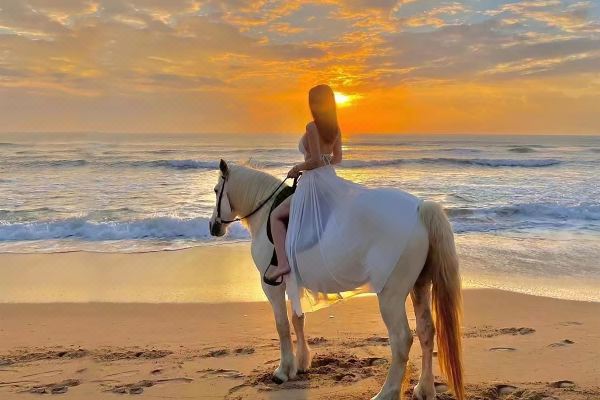 铂顿国际公寓酒店